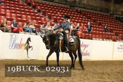 19BUCK_02931 proof