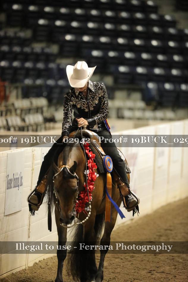 Proof 19BUCK_02942