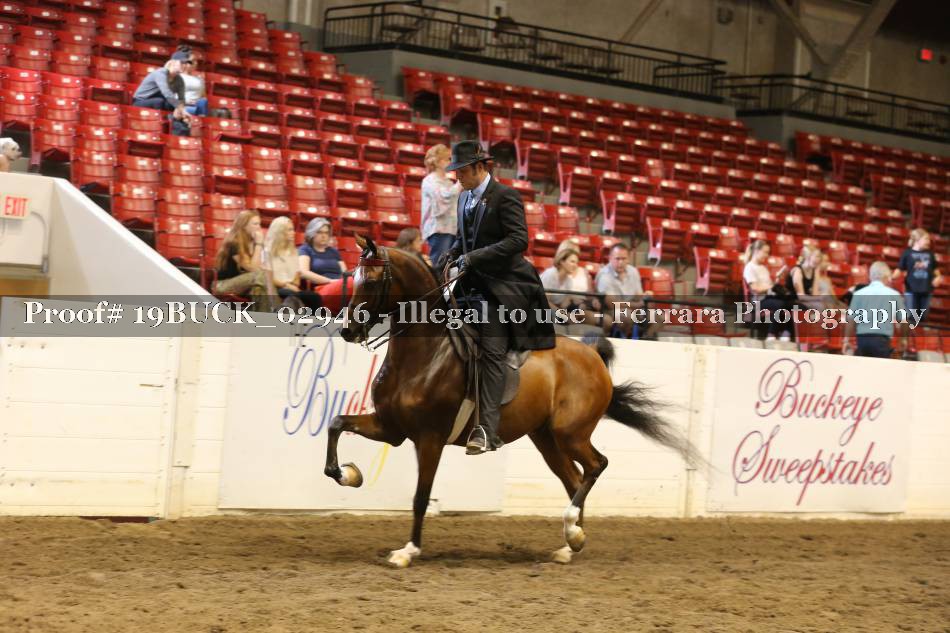Proof 19BUCK_02946