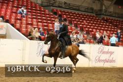 19BUCK_02946 proof