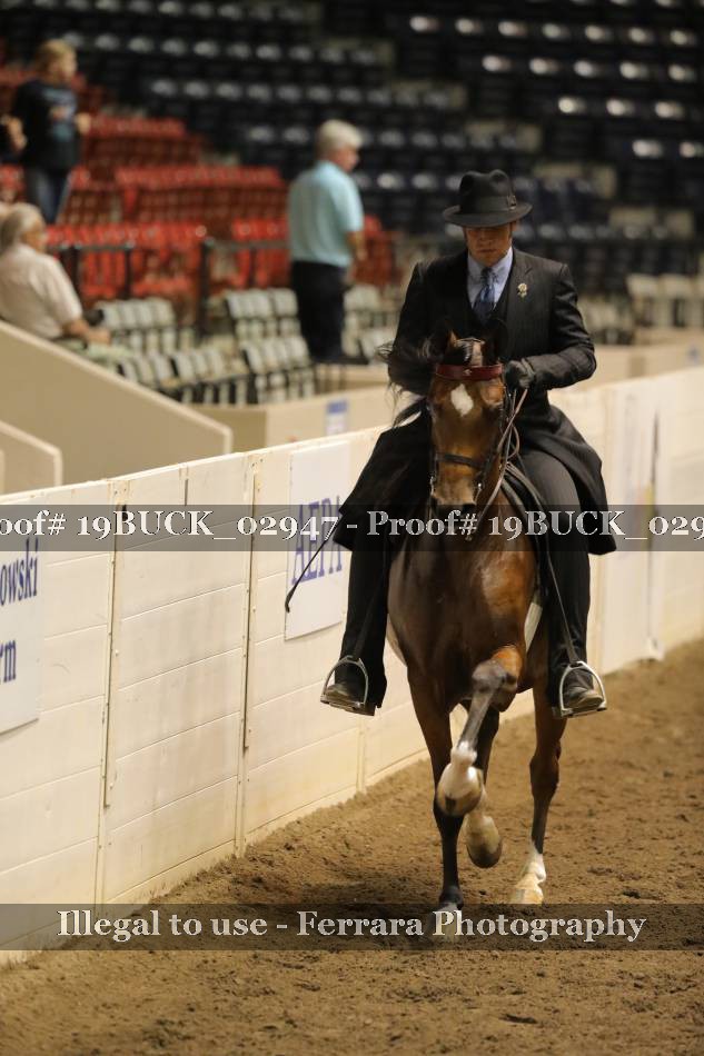 Proof 19BUCK_02947