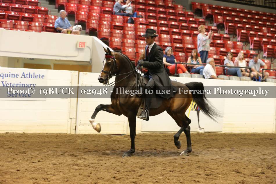 Proof 19BUCK_02948