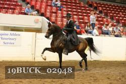 19BUCK_02948 proof