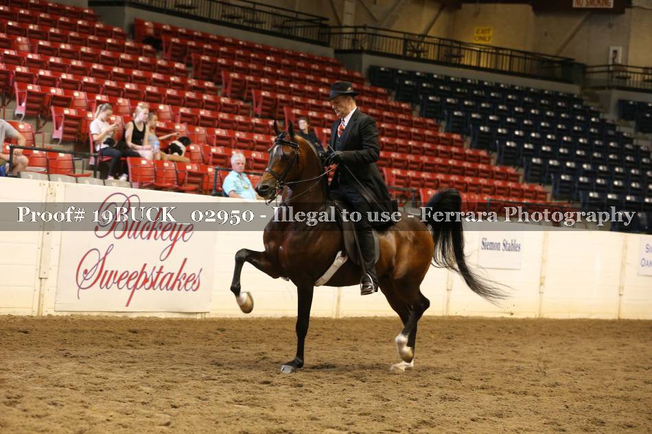 Proof 19BUCK_02950