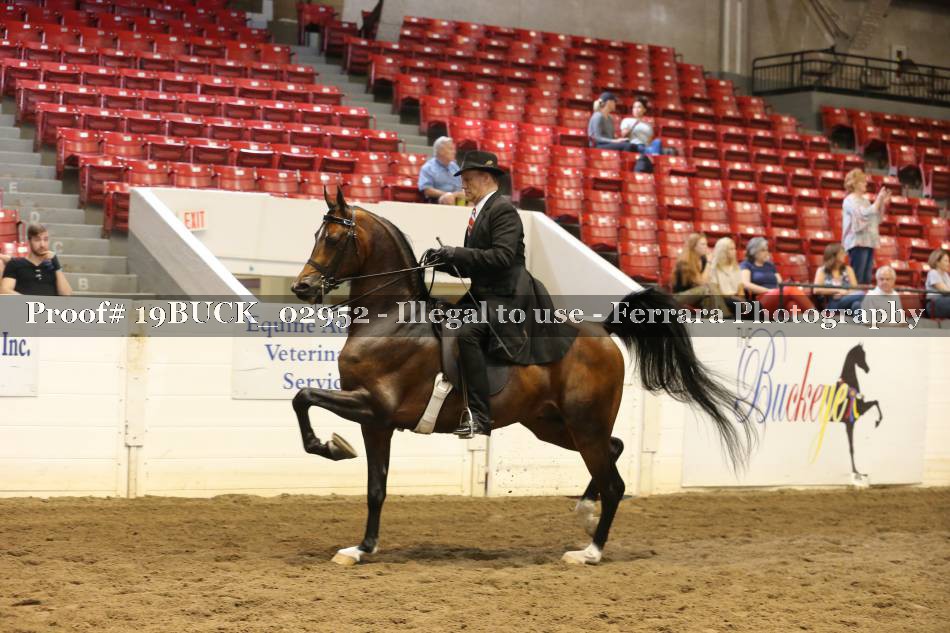 Proof 19BUCK_02952