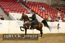 19BUCK_02952 proof