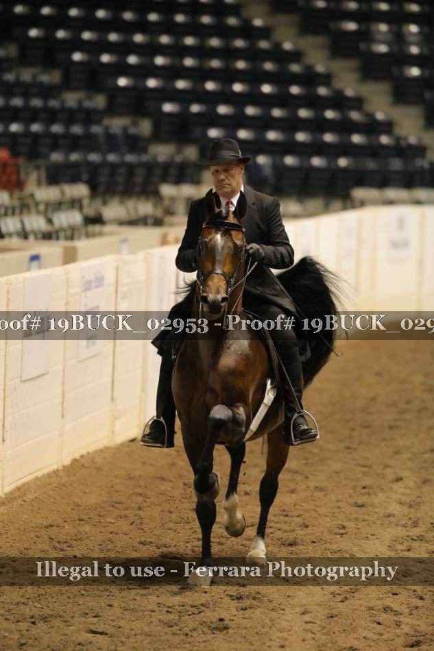 Proof 19BUCK_02953