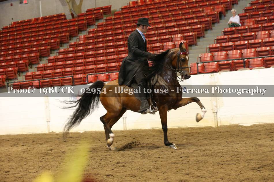 Proof 19BUCK_02954