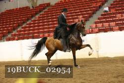 19BUCK_02954 proof
