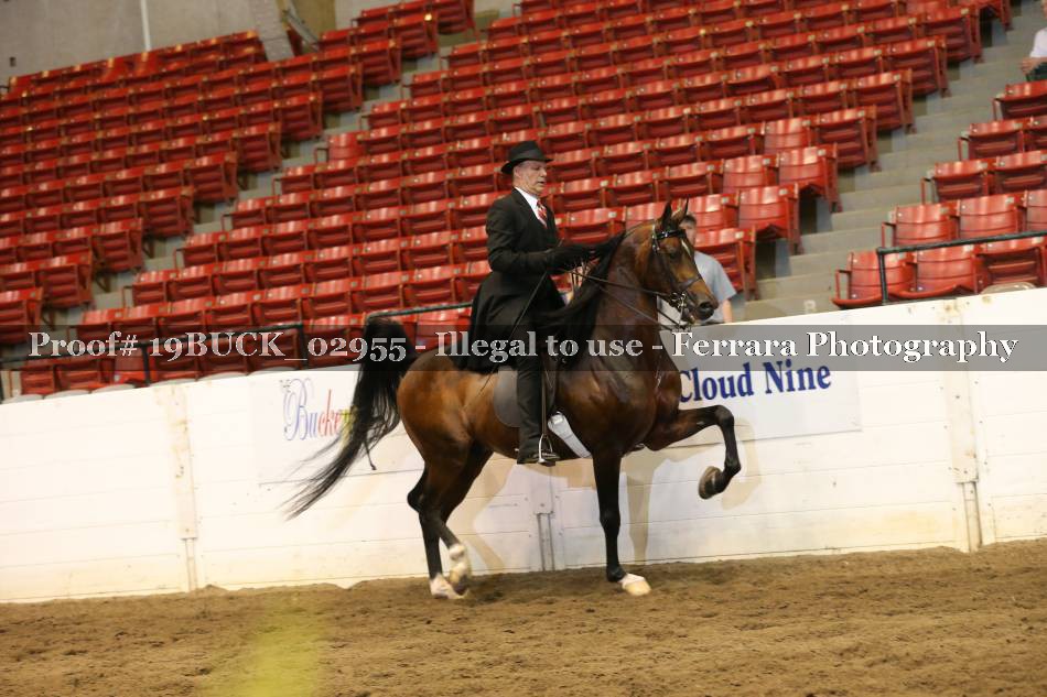 Proof 19BUCK_02955
