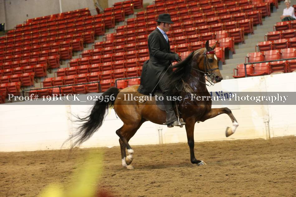 Proof 19BUCK_02956