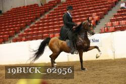 19BUCK_02956 proof