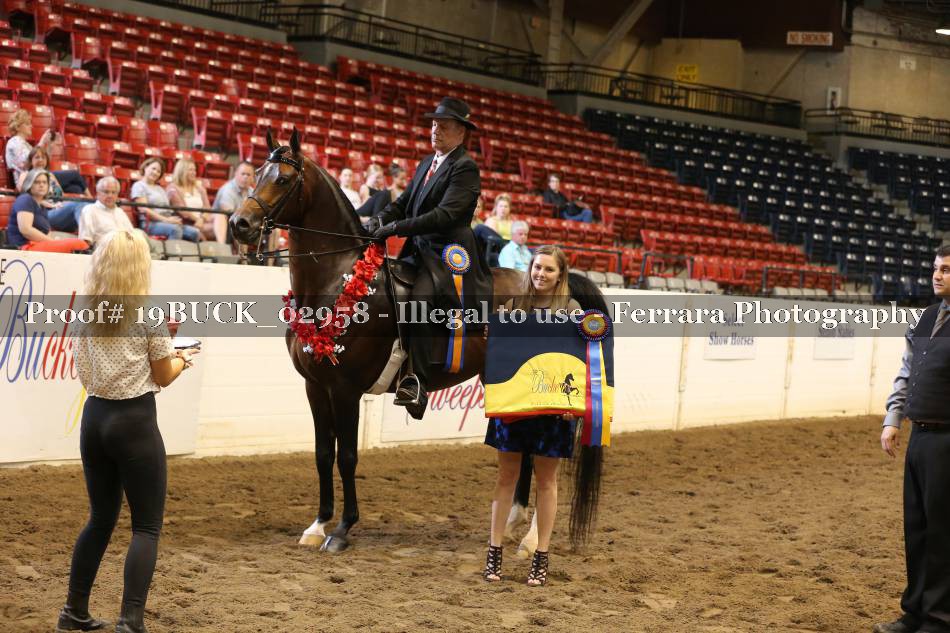 Proof 19BUCK_02958