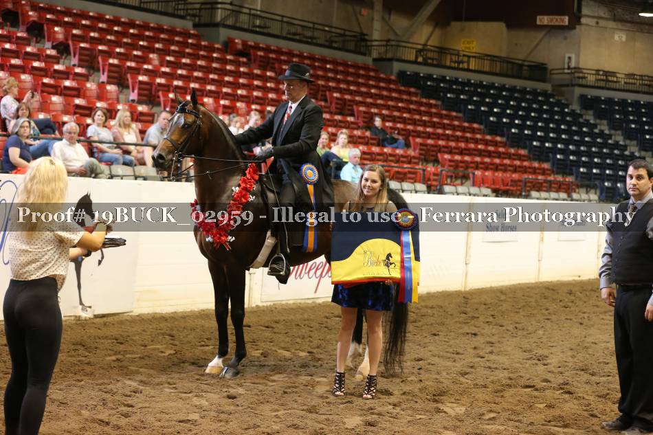 Proof 19BUCK_02959