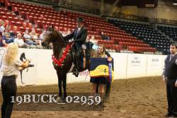 19BUCK_02959 proof