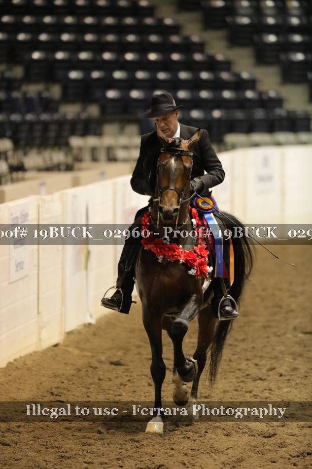 Proof 19BUCK_02960