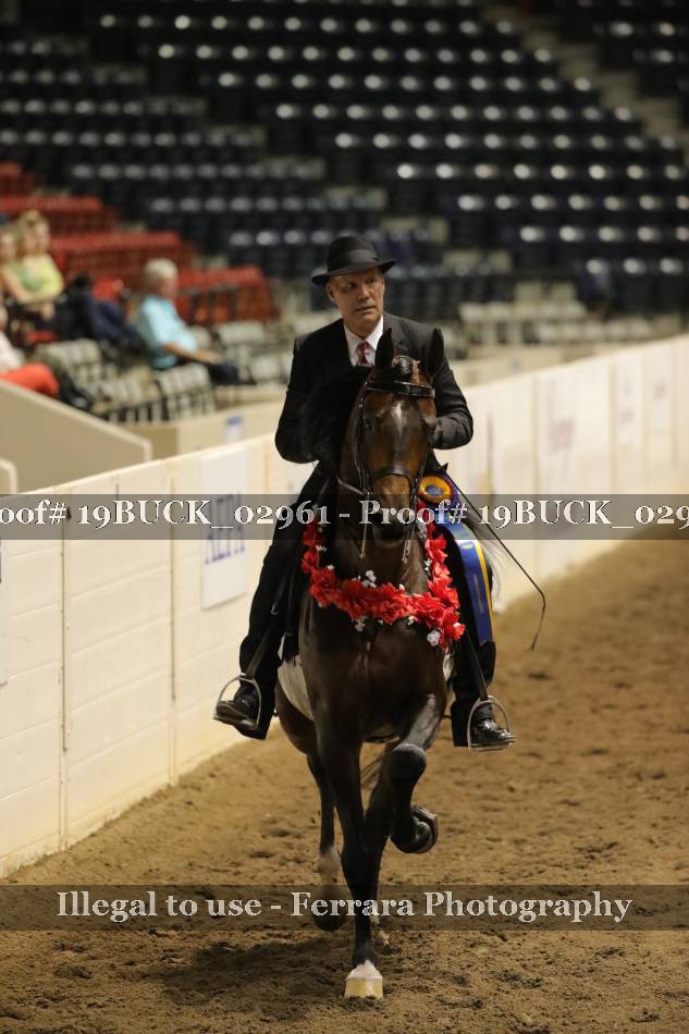 Proof 19BUCK_02961