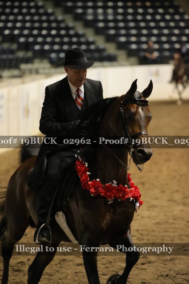 Proof 19BUCK_02962