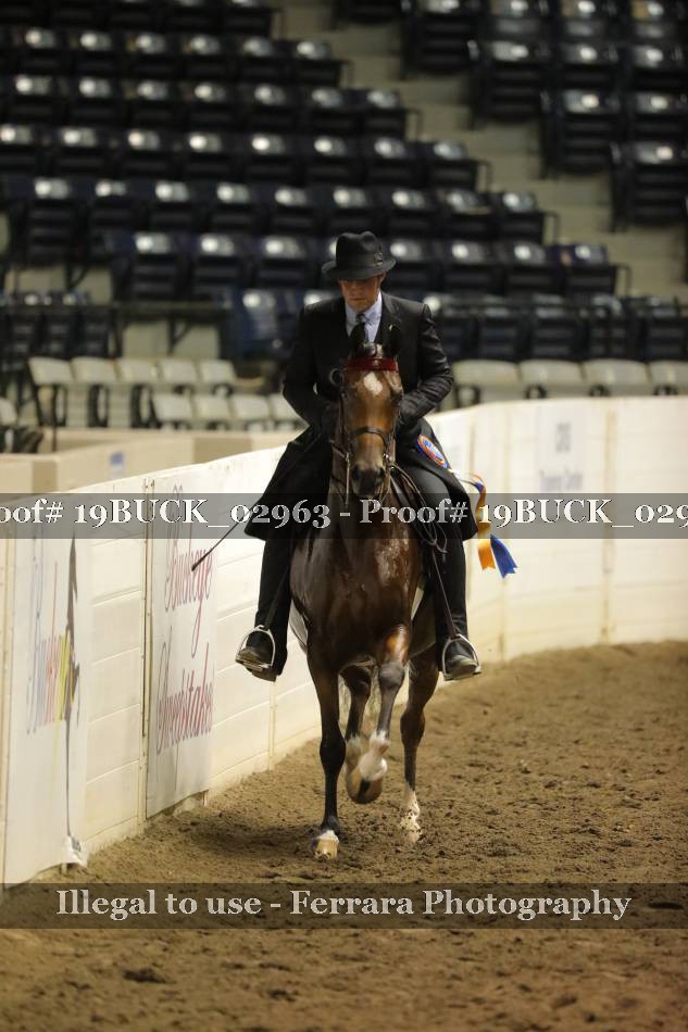 Proof 19BUCK_02963