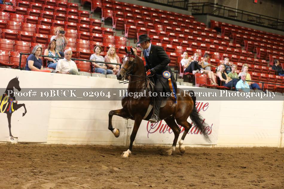 Proof 19BUCK_02964