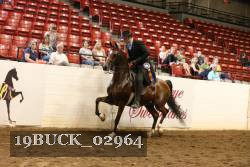 19BUCK_02964 proof