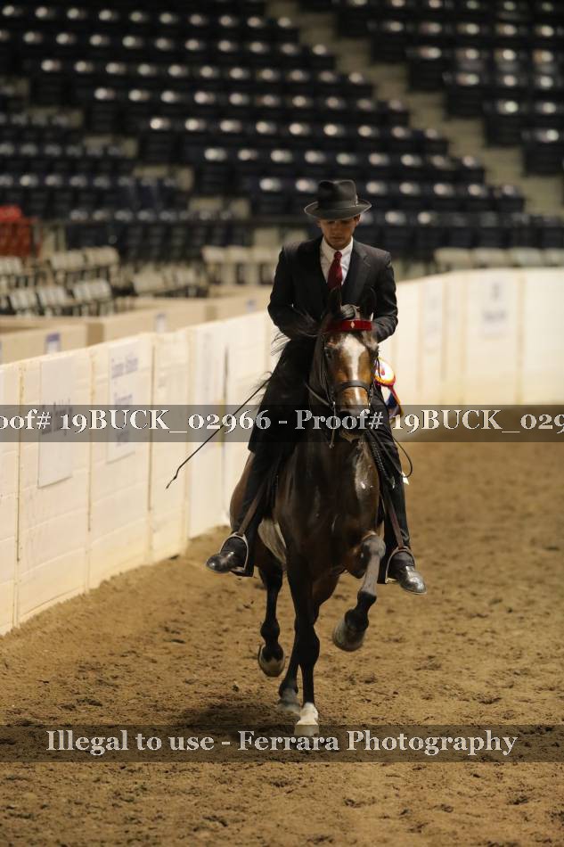 Proof 19BUCK_02966
