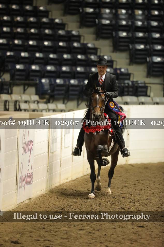 Proof 19BUCK_02967