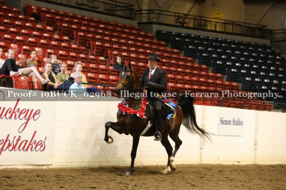 Proof 19BUCK_02968
