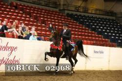 19BUCK_02968 proof