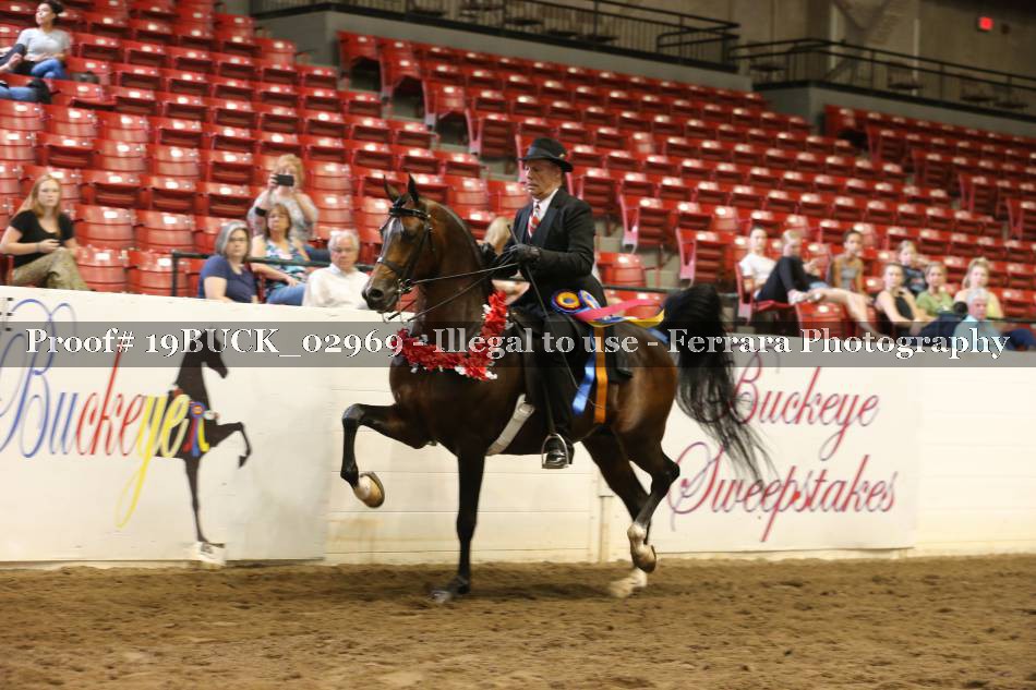 Proof 19BUCK_02969
