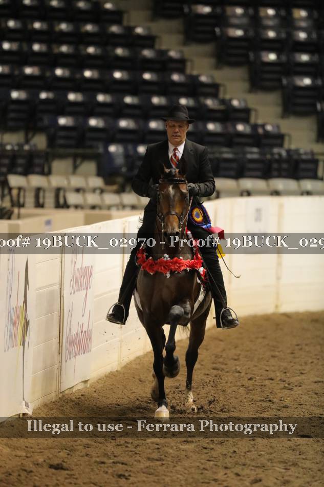 Proof 19BUCK_02970
