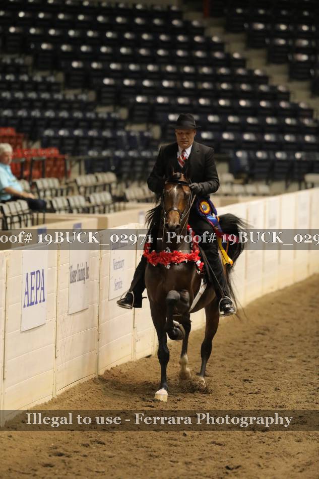 Proof 19BUCK_02971
