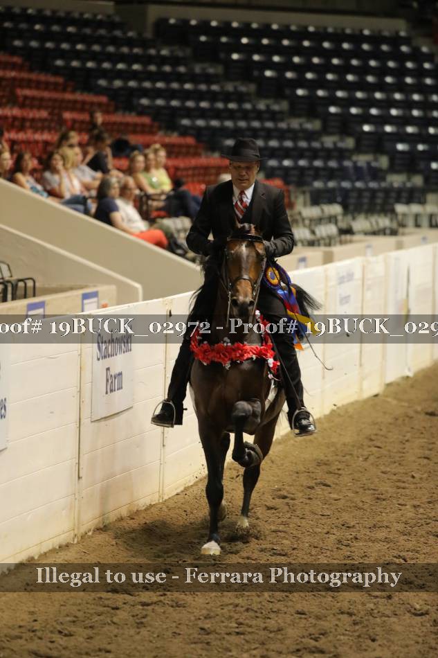 Proof 19BUCK_02972