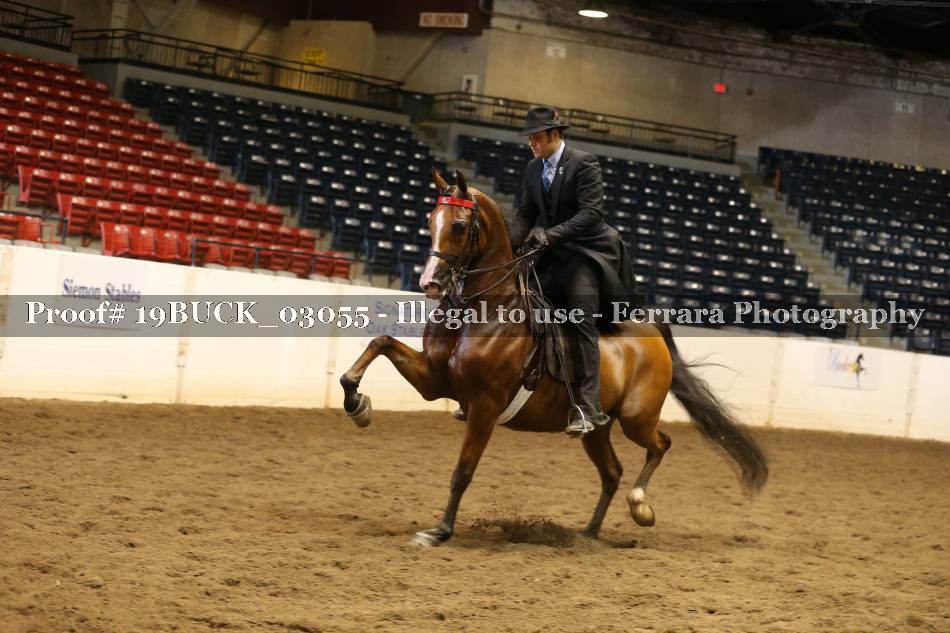 Proof 19BUCK_03055