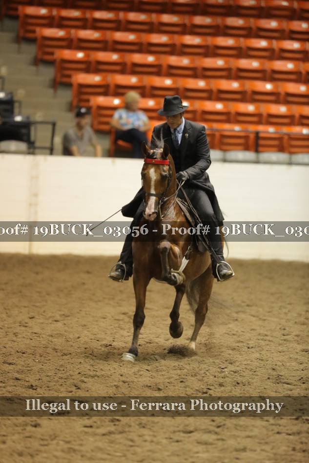 Proof 19BUCK_03056
