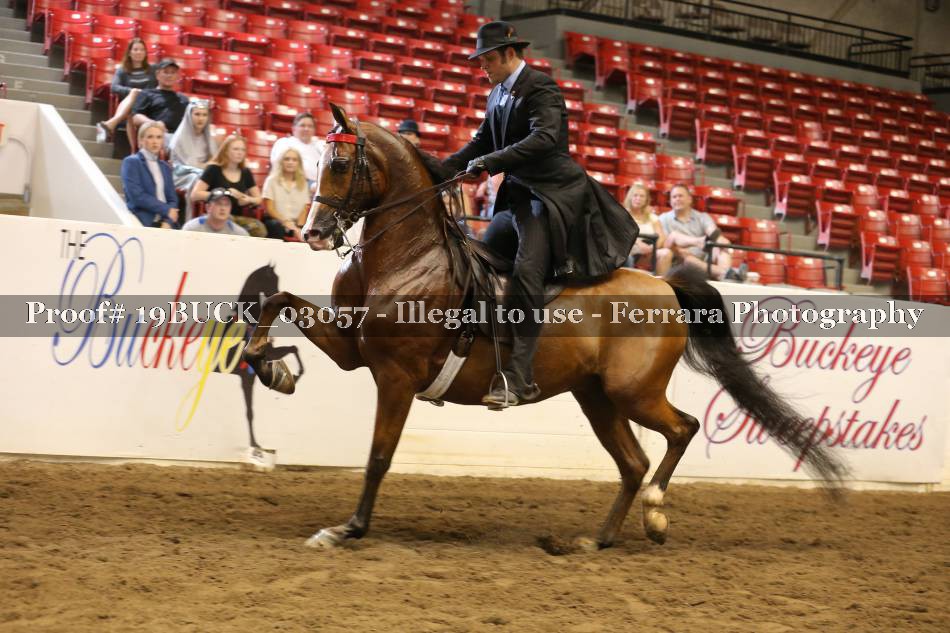 Proof 19BUCK_03057