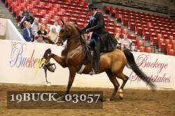 19BUCK_03057 proof
