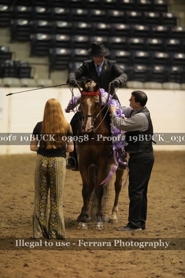 Proof 19BUCK_03058