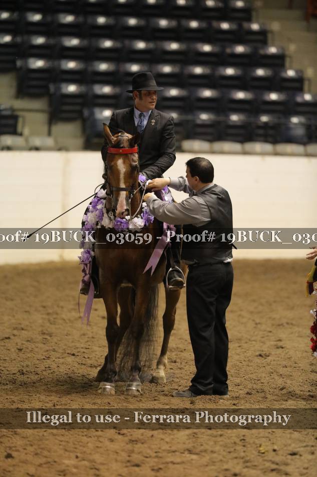 Proof 19BUCK_03059