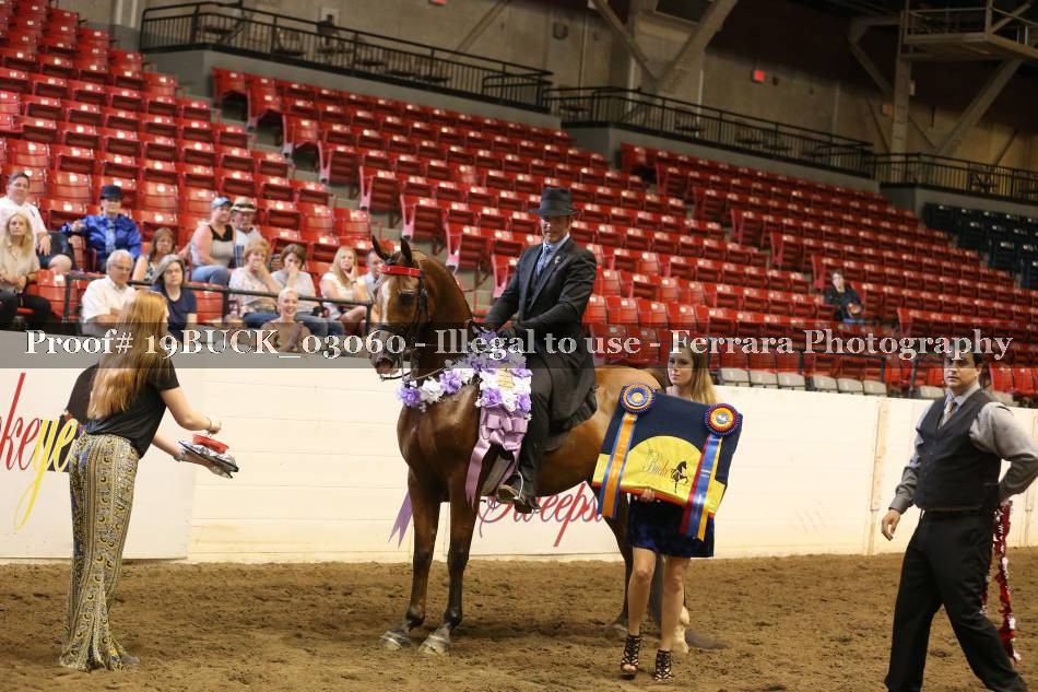 Proof 19BUCK_03060