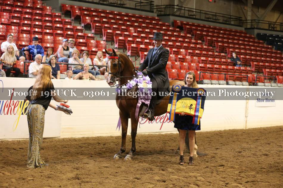 Proof 19BUCK_03061