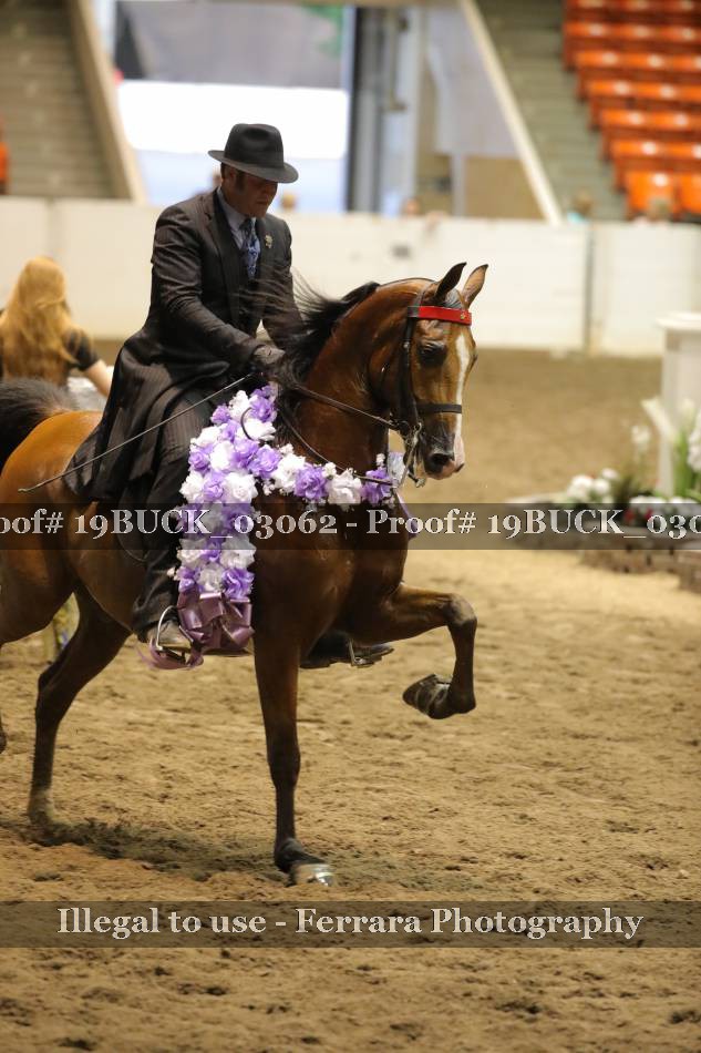 Proof 19BUCK_03062