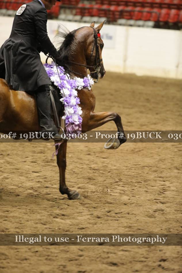Proof 19BUCK_03063