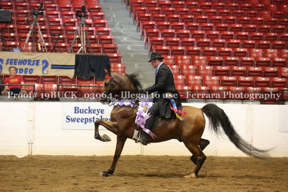 Proof 19BUCK_03064