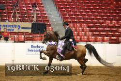 19BUCK_03064 proof