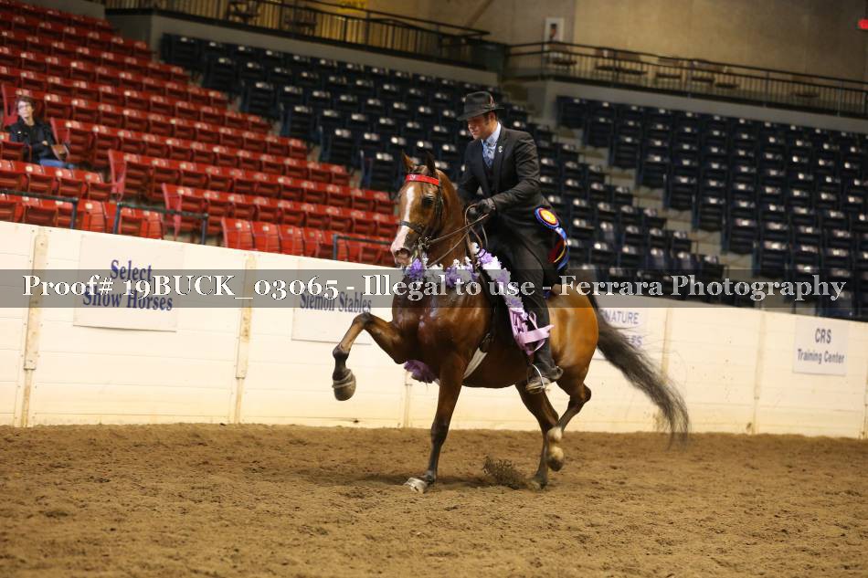 Proof 19BUCK_03065