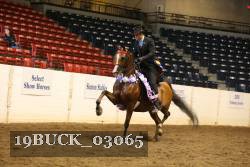 19BUCK_03065 proof