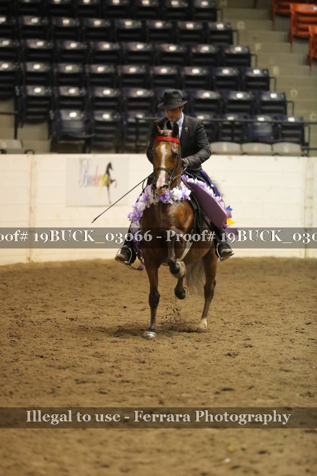 Proof 19BUCK_03066
