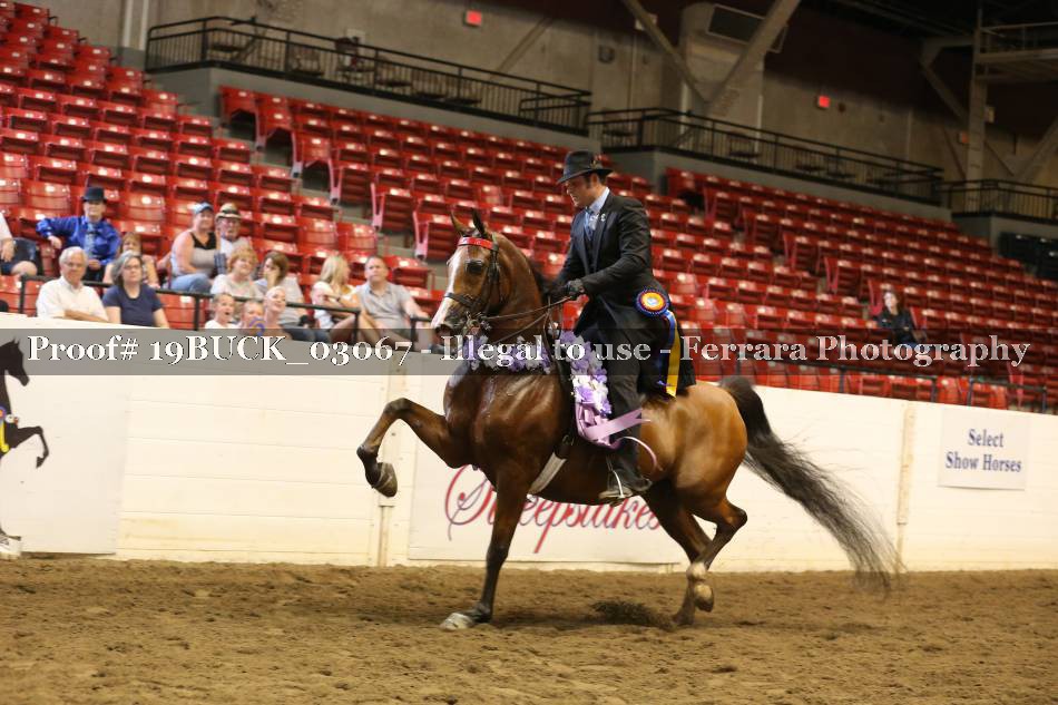 Proof 19BUCK_03067