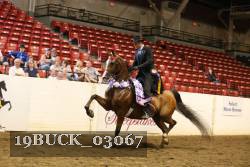 19BUCK_03067 proof